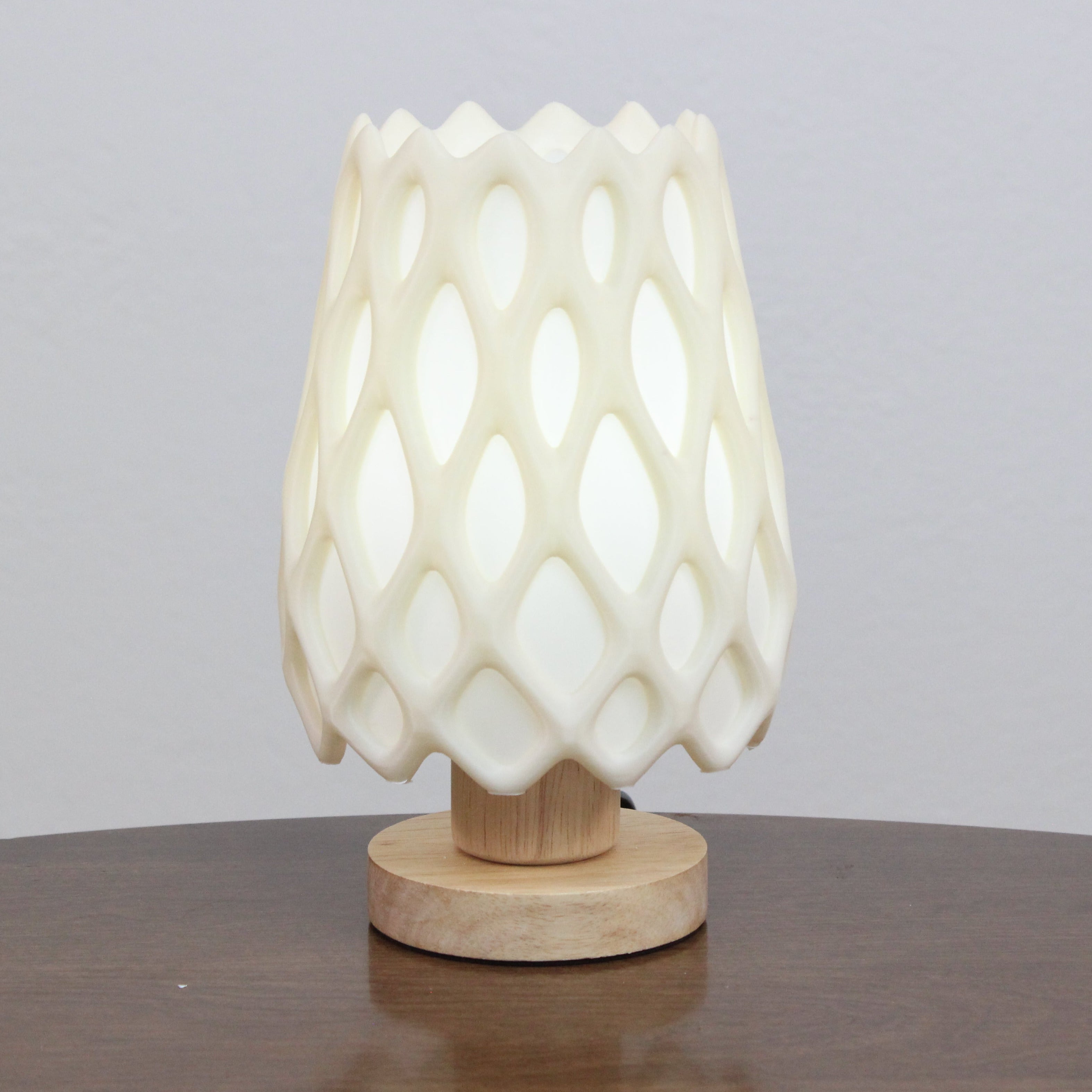 Table lamp with a unique design on a wooden base, cholla skeleton lamp