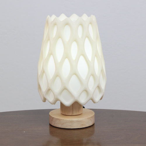 Table lamp with a unique design on a wooden base, cholla skeleton lamp