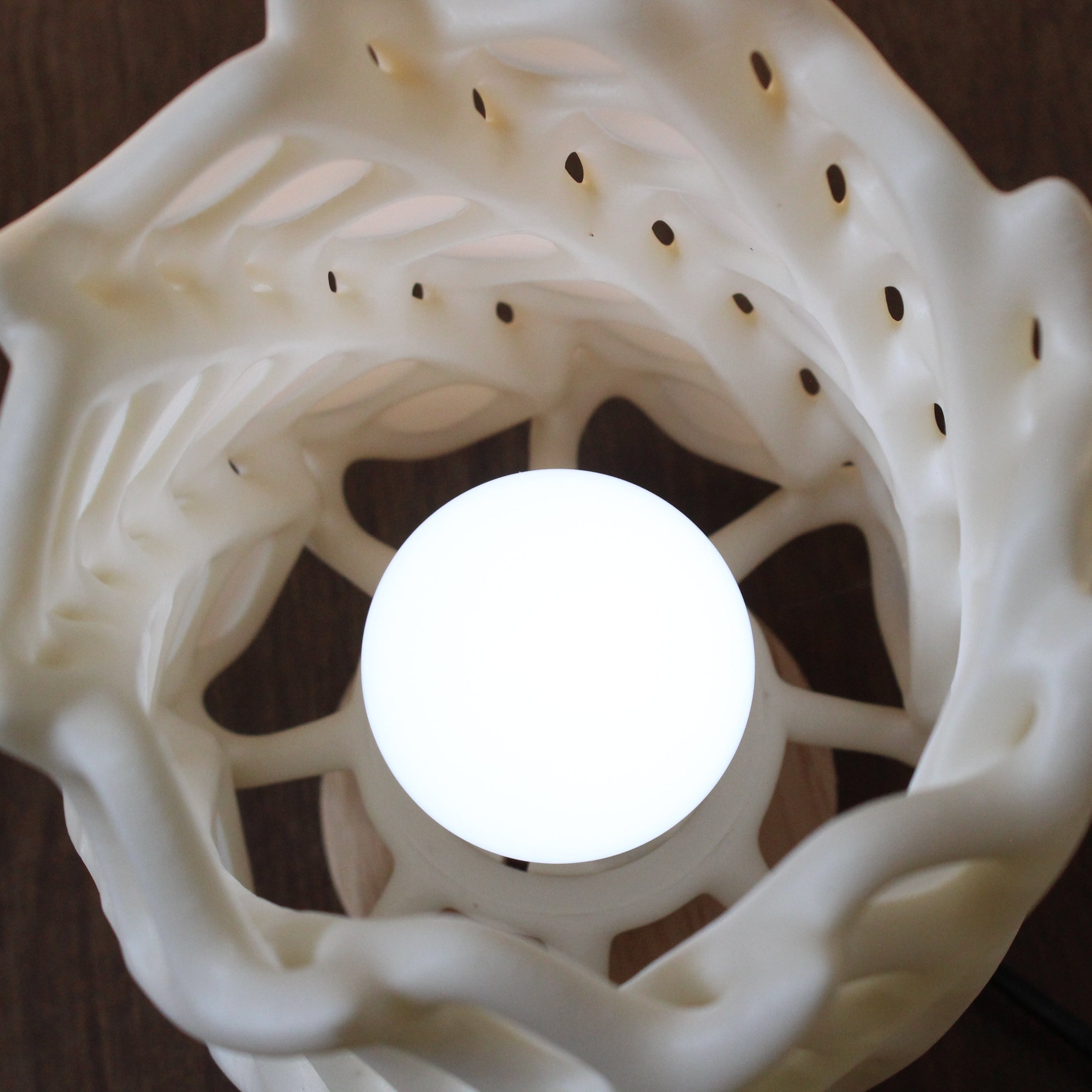 White cholla skeleton lamp inside
