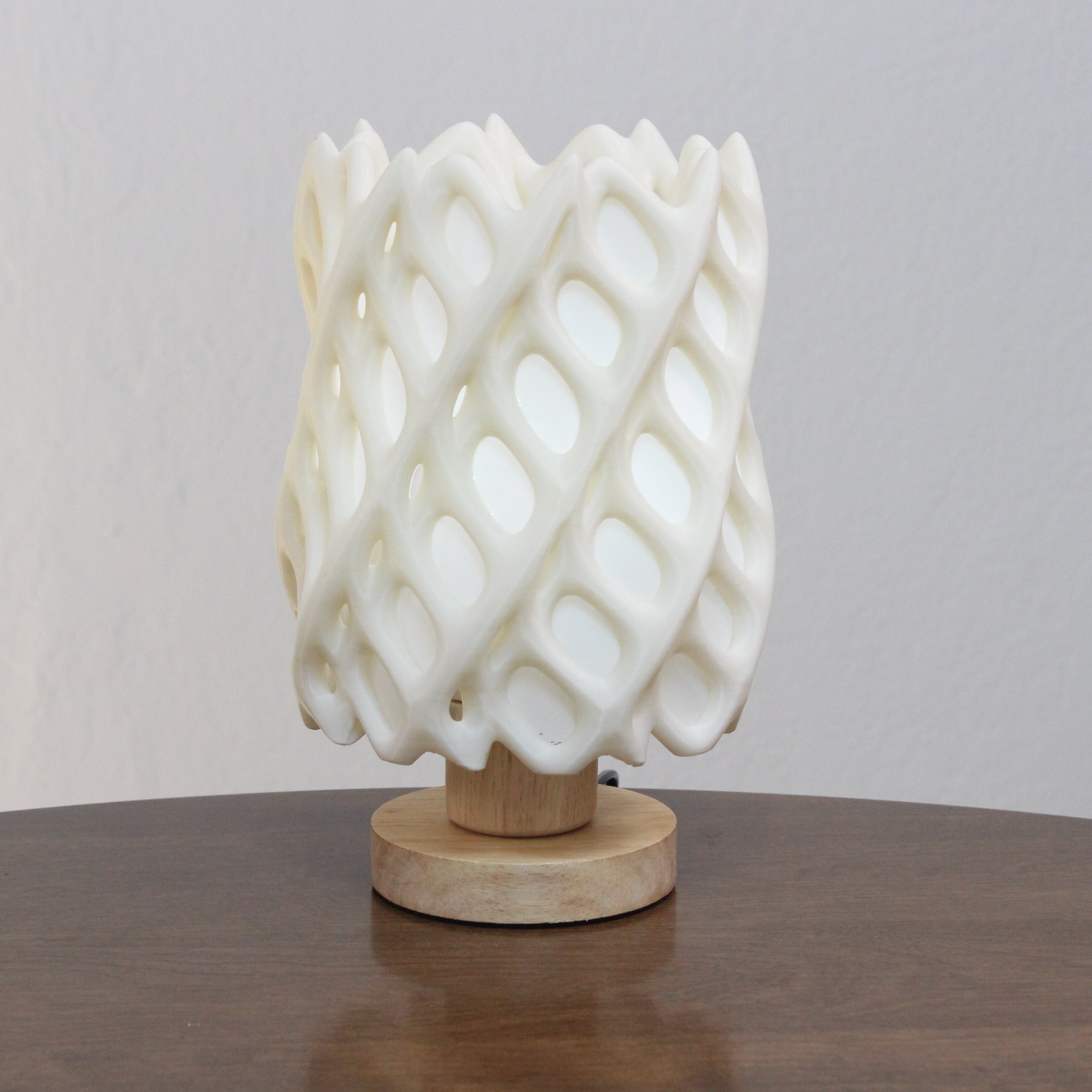 White cholla cactus skeleton lamp on a wooden base against a plain background