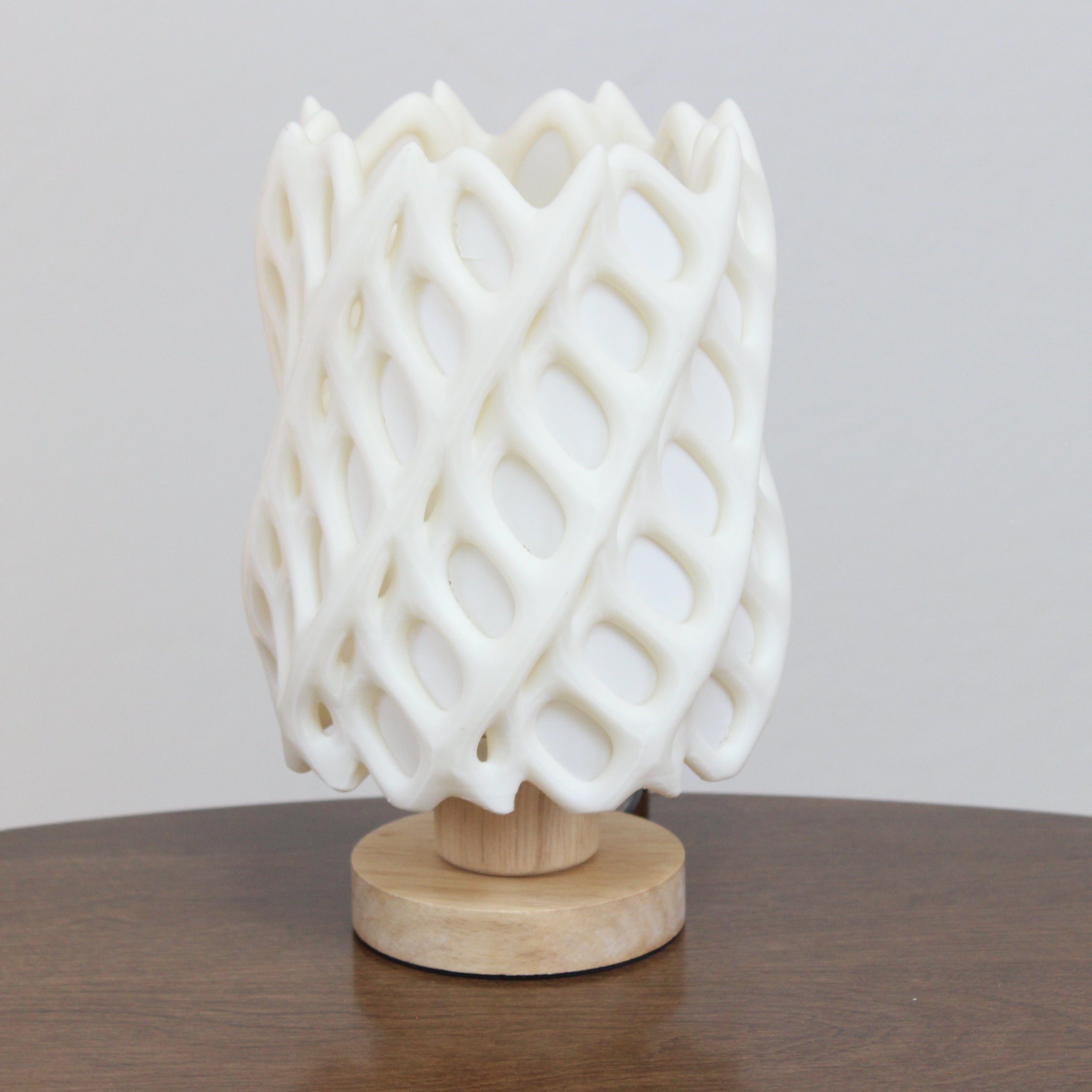 organic table lamp, cholla skeleton lamp