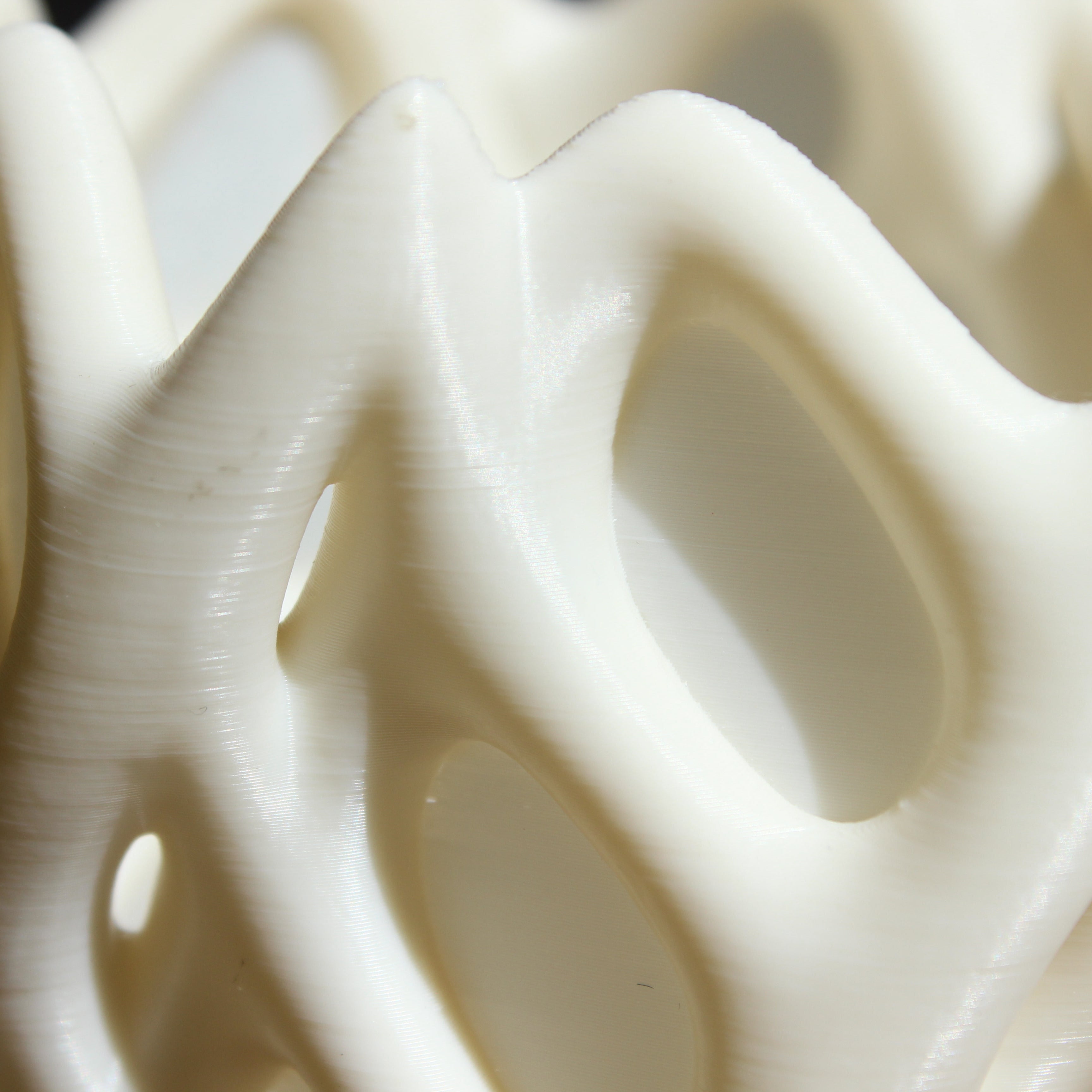 cholla table lamp close up, 3d print