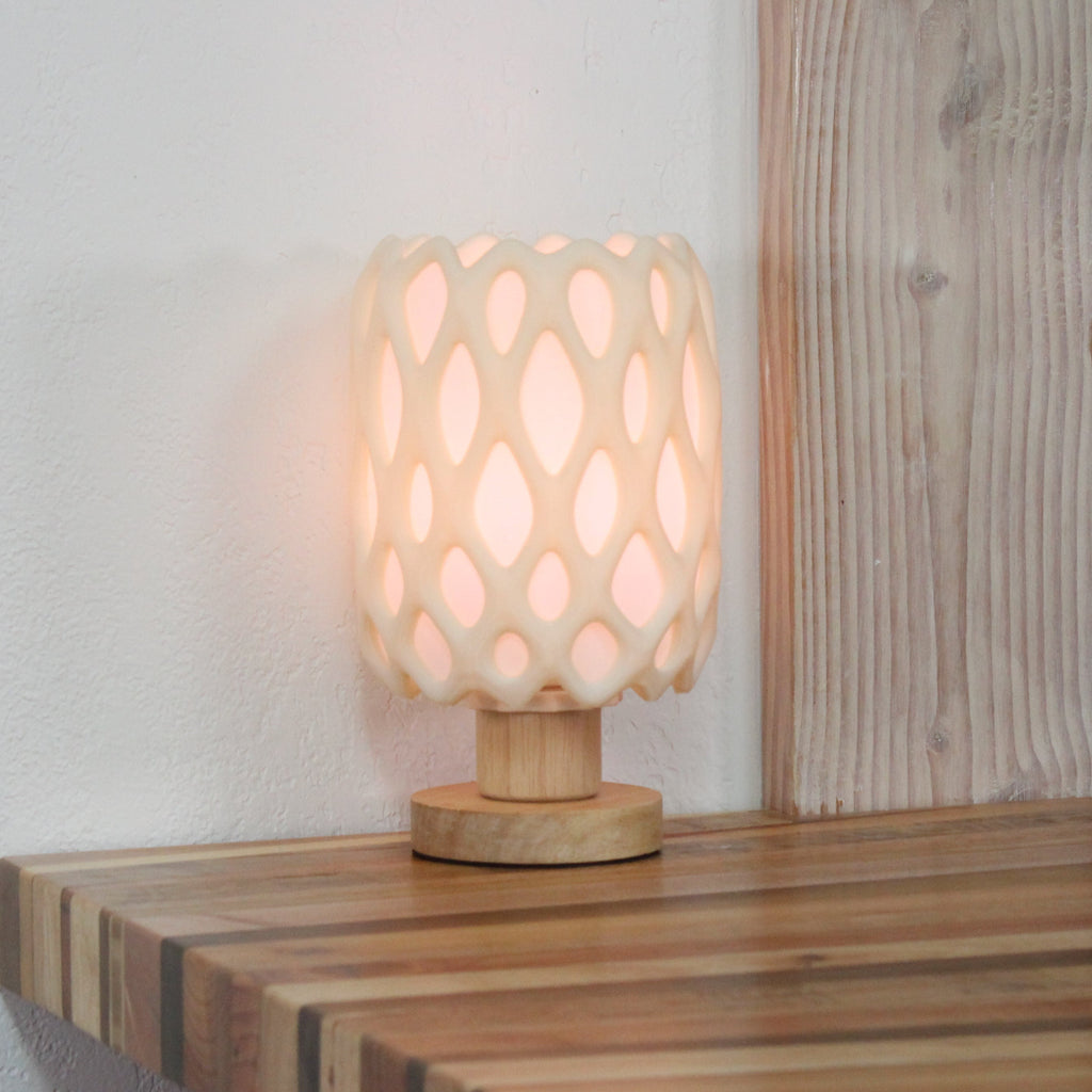 Cholla Table Lamp (D) Printable